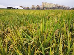 -中国天府农业博览园