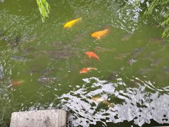 -济南大明湖景区