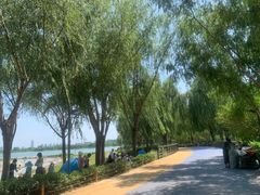 -北龙湖湿地公园