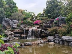 -东莞植物园