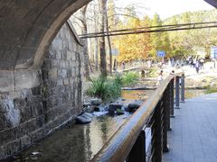 -白水寺森林公园