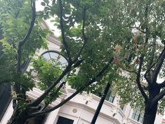 -子福慧(虹桥店)