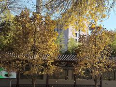 -丰台花园