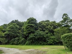 -火炉山森林公园