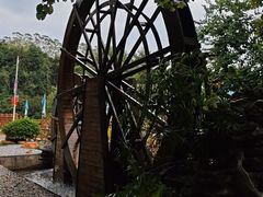 -广州白江湖森林公园