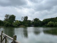 -溱湖国家湿地公园