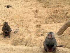 -杭州野生动物世界