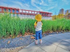 -游心咖啡(青山红坊店)