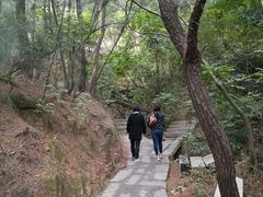 -草庵摩尼教遗址公园