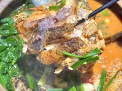 -九道菜有鸡鱼头(石鼓路店)