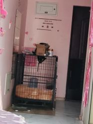 -JX今喜美甲美睫