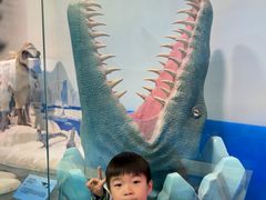 -陕西自然博物馆