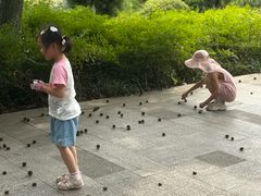 -昆山城市生态森林公园