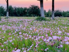 -汉长安城未央宫国家考古遗址公园