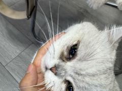 -M.S拳击泰拳馆(大学路店)