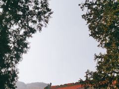 -香山公园