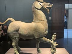 -广西壮族自治区博物馆