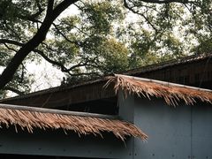 -中国茶叶博物馆(双峰馆区)