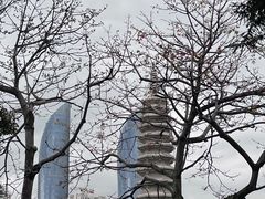-南普陀寺
