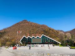 -牛背梁国家森林公园