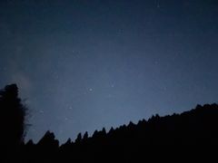 -武陵山森林公园