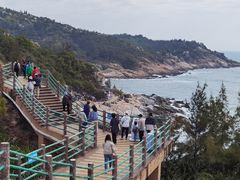 -广东惠东海龟国家级自然保护区