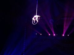 -珠海横琴长隆《卡卡虎奇遇记》