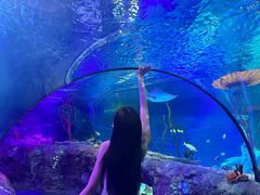 -沈阳海洋探索中心