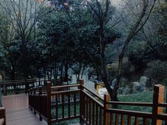 -西安曲江寒窑遗址公园