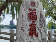 -济南大明湖景区