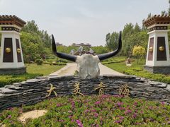 -武清南湖绿博园