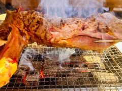 -柿子树炭烤羊腿(金台路店)