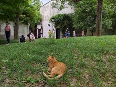 -西园戒幢律寺