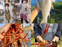 -上海山野camping·户外天幕烧烤·团建拓展营地