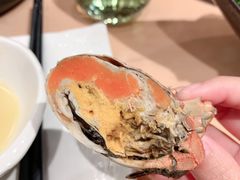 -旺小胖小龙虾
