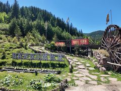 -芦芽山旅游度假区