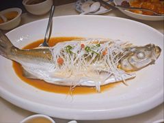 传统清蒸大白鱼-淮扬府(安定门店)