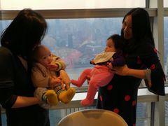 -君悦大酒店行政酒廊