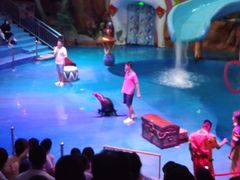 -烟台海昌鲸鲨海洋公园