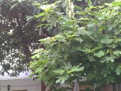 android_upload_pic-二楼南书房