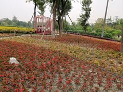 -天府芙蓉园