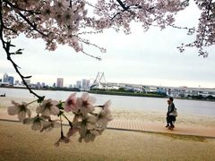 -台场海滨公园船码头