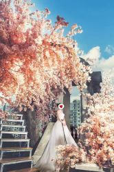 点击看大图 -艺匠摄影ARTIZ STUDIO(南京店)