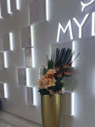 -深圳美莱医疗美容医院