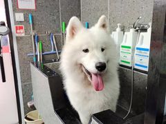 -宠物家(大兴旧宫店)