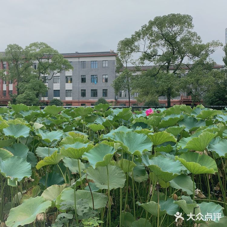 成都攻略| 川大望江老校区，看景觅食两不误