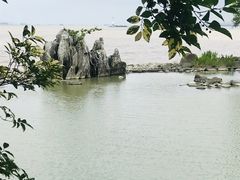 -吴淞炮台湾湿地森林公园烧烤区