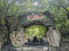 -海口火山口国家地质公园