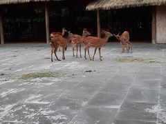 -金沙遗址博物馆