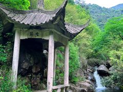 -大奇山国家森林公园